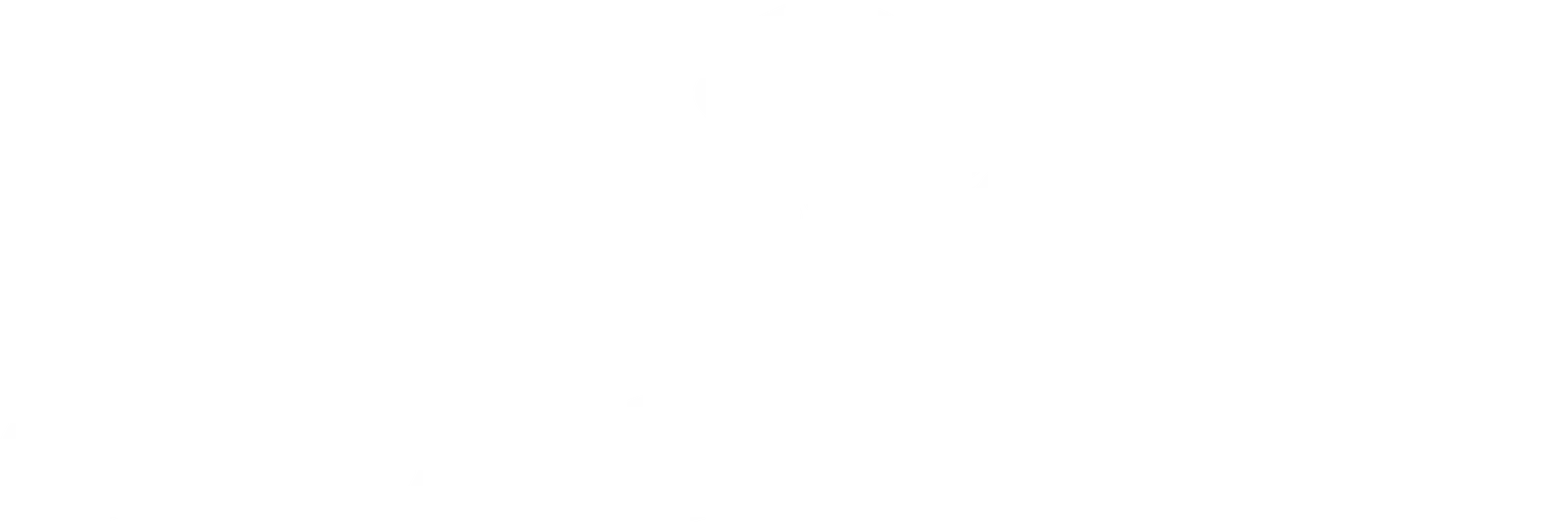 Coachmen logo