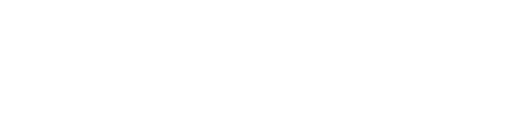 Lance logo