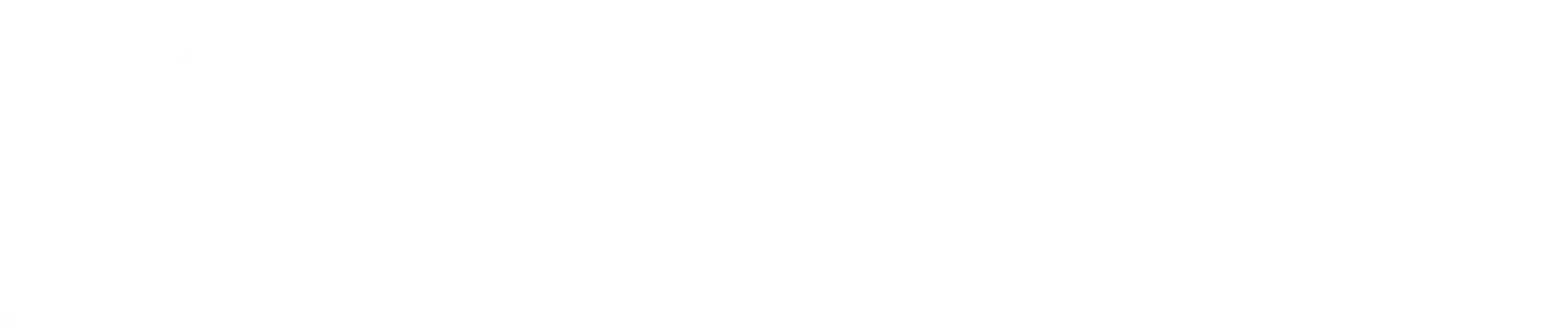 Dutchmen logo